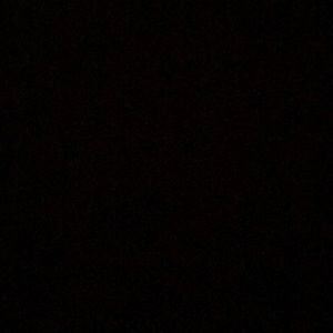 Meet your Posher, Sacha